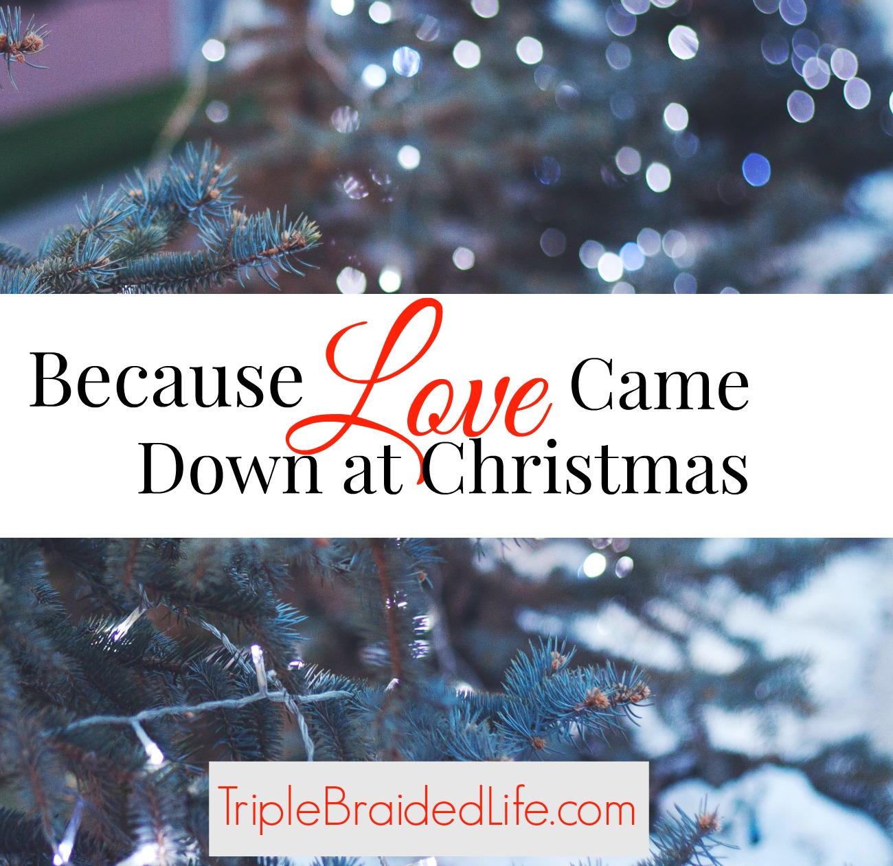 Because Love Came Down at Christmas