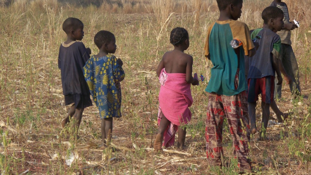 Burkina Faso Nov. 2011 The Bush (69)