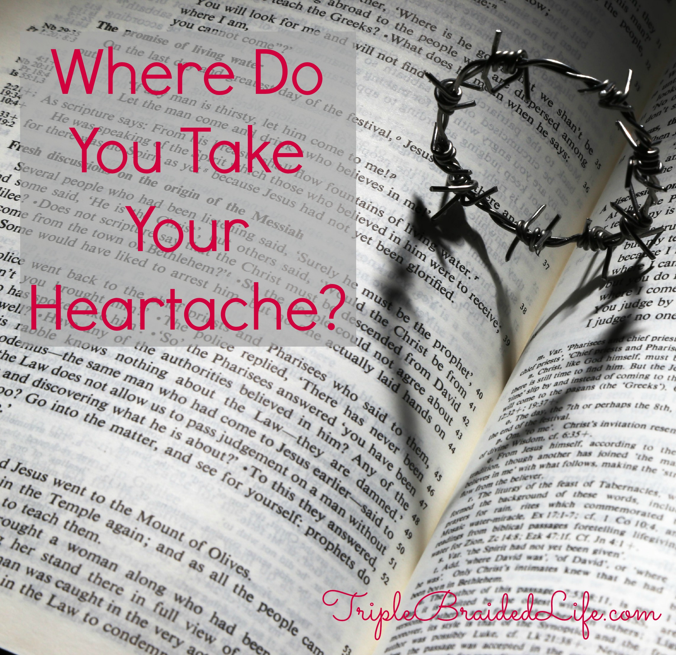 Where Do You Take Your Heartache IMG_7192_p